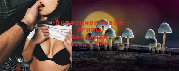 ECSTASY Каменногорск