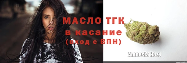 твердый Каменка
