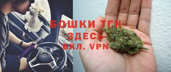 ECSTASY Каменногорск
