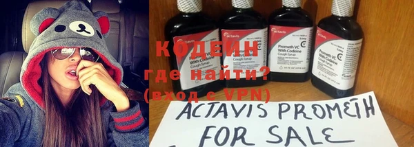 прущие крисы Инта