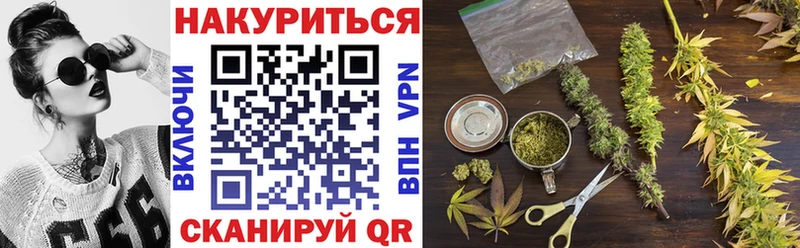 Купить закладки  Гусев  Канабис ГИДРОПОН 